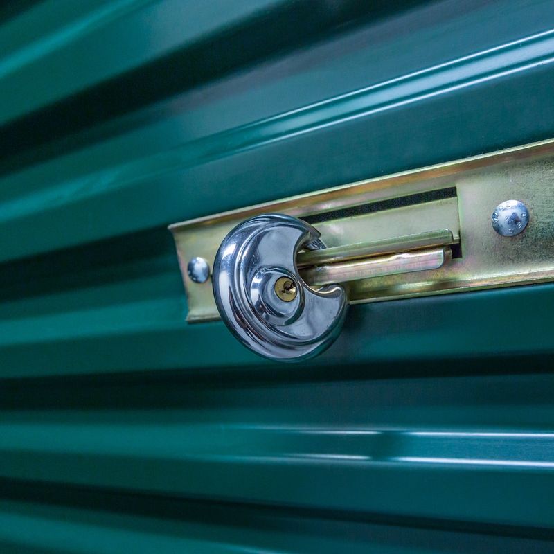 Disc lock on a storage unit door